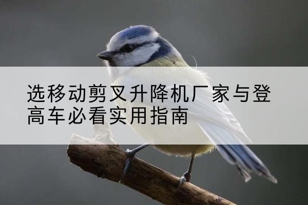 蓬莱电动升降机厂家-选移动剪叉升降机厂家与登高车必看实用指南
