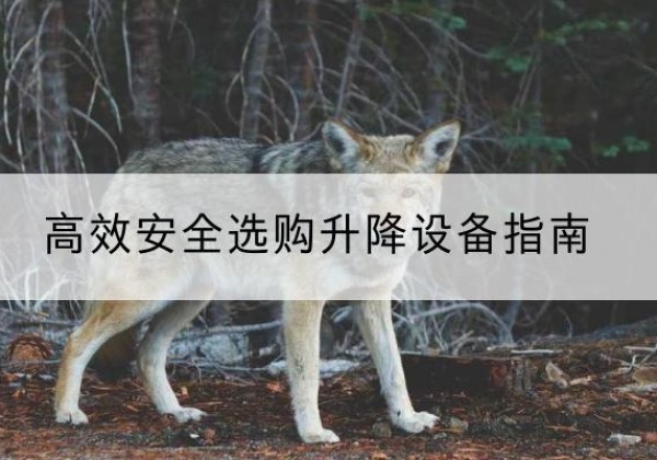 蓬莱升降货梯厂家推荐-*安全选购升降设备指南
